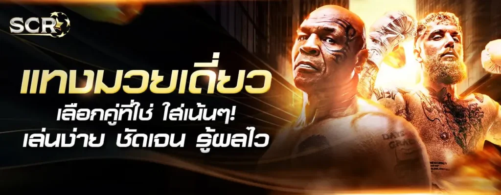 มวยเดี่ยว